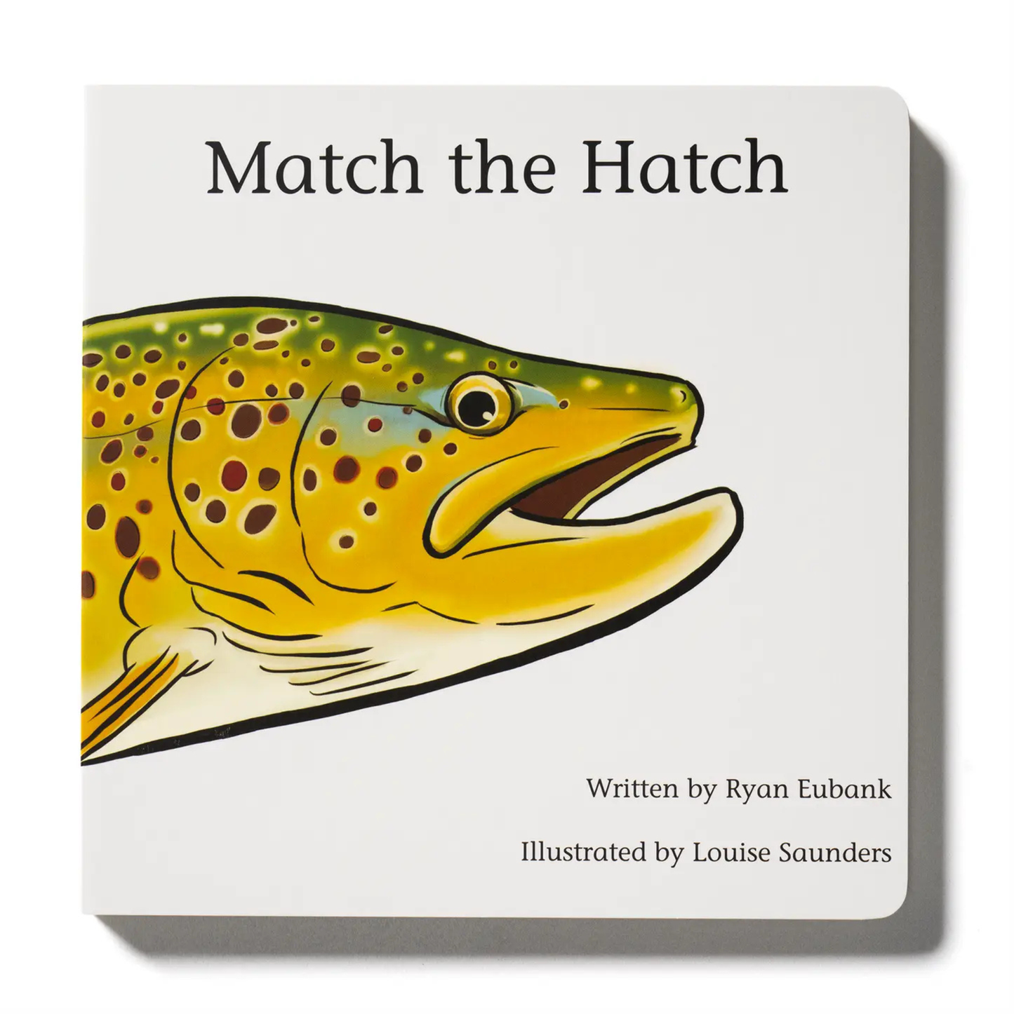 Match the Hatch Children's Book