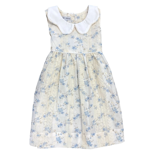 Cream Sheer Floral Lace w/ White Scallop Collar Dress